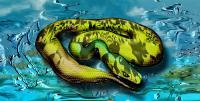 Surrealism - Python - Canvas