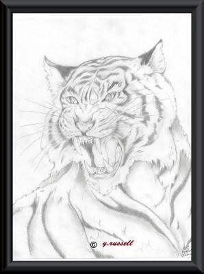 Multi Media - Tiger - Pencilpaper