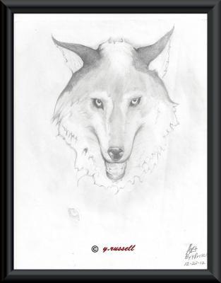 Multi Media - Wolf - Pencilpaper