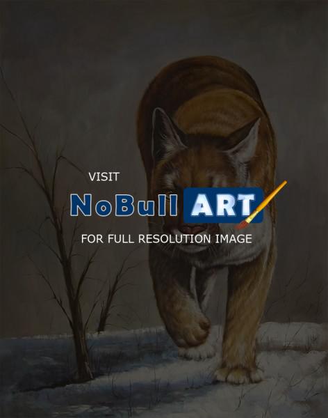 Animals - Bobcat - Oil On Canvas