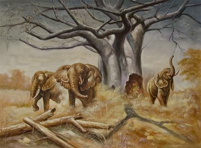 Animals - Elephants - Oil On Canvas