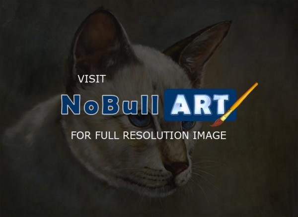 Animals - Cat - Oil On Canvas
