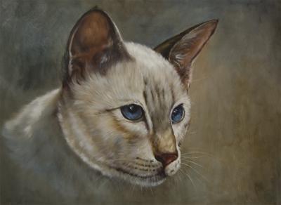 Animals - Cat - Oil On Canvas