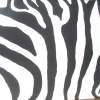 Zebra - Watercolour On Canvas Paintings - By Kea Hedges, Abstract Painting Artist
