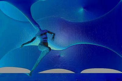 D Vout 1 - Dancer Blue 1 - Digital