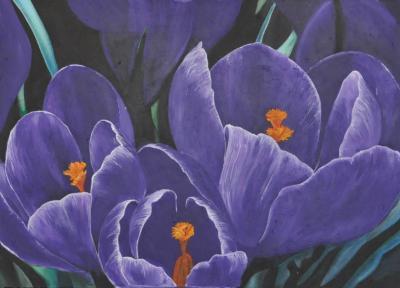 Still Life - Crocus - Medium On Canvas - 70 X 50 Cm