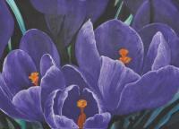 Crocus - Medium On Canvas - 70 X 50 Cm Paintings - By Massimo Franzoni, Figurative Painting Artist