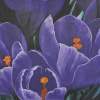 Crocus - Medium On Canvas - 70 X 50 Cm Paintings - By Massimo Franzoni, Figurative Painting Artist