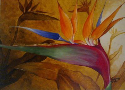 Nature - Strelitzia - Acrylic