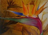 Strelitzia - Acrylic Paintings - By Francois Jones, Naturalistic Painting Artist