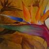 Strelitzia - Acrylic Paintings - By Francois Jones, Naturalistic Painting Artist
