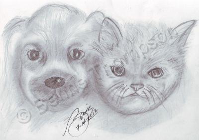 Animals - Puppy Kitty Pals - Pencil  Paper