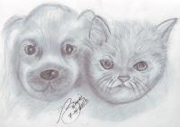 Puppy Kitty Pals - Pencil  Paper Drawings - By Berine Thompson, Black  White Drawing Artist