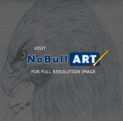 Animals - Eagle - Pencil  Paper