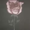 The Red Rose - Ink On Paper Printmaking - By Audrey Klemek, Etching Printmaking Artist