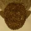 Full Of Protein - Beans And Yarn Other - By Alexander Jatto, Recycle Other Artist