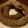 Clay Snake - Clay Sculptures - By Alexander Jatto, Clay Sculpture Artist