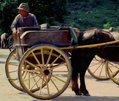 Miscellaneous - Kilkenny Carriage Driver II - Camera_Computer