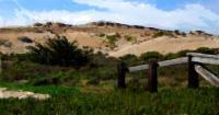 Marina Beach Park Sand Dunes - Camera_Computer Digital - By Jim Pavelle, Digital Realism Digital Artist