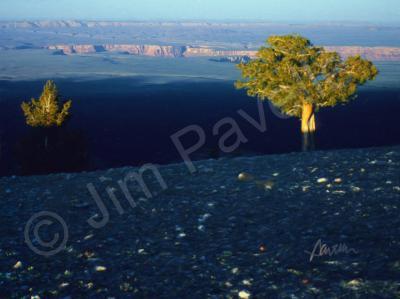 Landscapes - North Rim Plateau Sunset - Camera_Computer