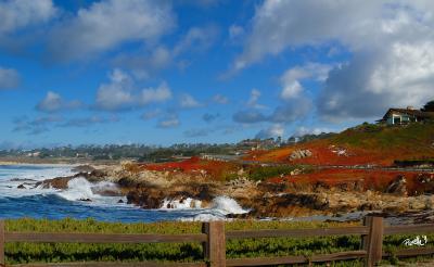 Seascapes_Marine - Spanish Bay Surf - Canvas Giclee - Camera_Computer