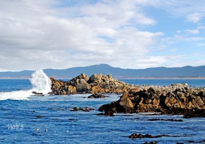 Seascapes_Marine - Wave Roost - Giclee Canvas Print - Camera_Computer