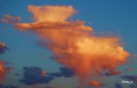 Miscellaneous - Flame Cloud - Camera_Computer