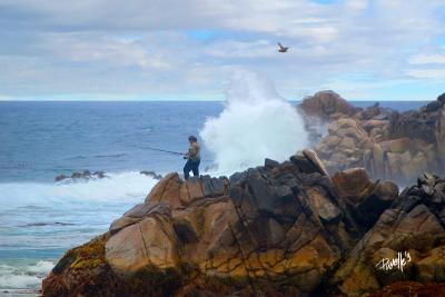 Seascapes_Marine - Fishing Dragons Head - Pacific Grove Ca - Camera_Computer