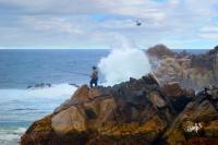 Fishing Dragons Head - Pacific Grove Ca - Camera_Computer Digital - By Jim Pavelle, Digital Realism Digital Artist