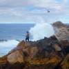 Fishing Dragons Head - Pacific Grove Ca - Camera_Computer Digital - By Jim Pavelle, Digital Realism Digital Artist