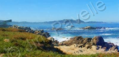 Seascapes_Marine - Carmel Bay And Point Lobos Ca - Camera_Computer