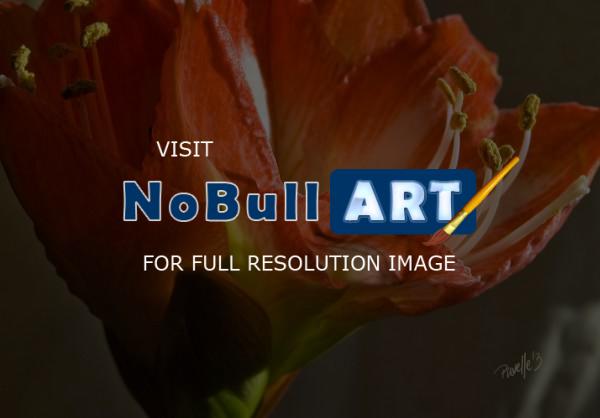 Trees  Flowers - Amaryllis II - Canvas Giclee - Camera_Computer