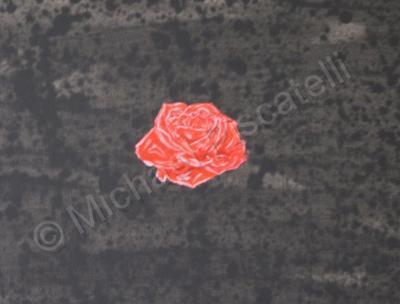 Forms Of Expression - Red Rose - Acrylic On Canvas Board