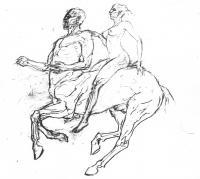 Drawings - Centaur - Pencil