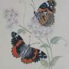 Coloured Pencils - Constance Widen - Realism Drawing Artist