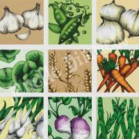 Vegetable Medley - Photoshop Drawings - By Janelle Dimmett, Spot Illustrations Drawing Artist
