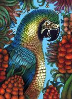 Macaw - Marker Drawings - By Janelle Dimmett, Illustration Drawing Artist