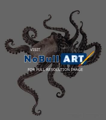 Illustration - Octopus - Graphite