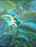 Vanilla Orchid - Oil Pastels Paintings - By John Mccullough, Post Impressionism Painting Artist