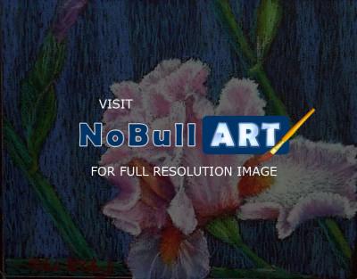 Floral - Iris - Oil Pastels