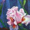 Iris - Oil Pastels Paintings - By John Mccullough, Post Impressionism Painting Artist