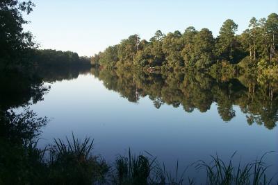 Reference - Crystal Lake My Backyard - Digital