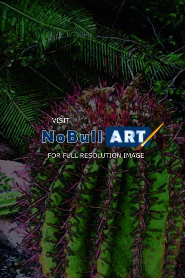 Art Cards - Barrel Cactus - Computer Graphics