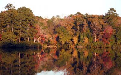 Reference - Crystal Lake My Backyard - Digital