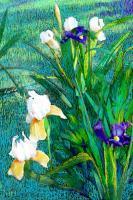 Floral - Iris Composition - Computer Graphics