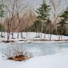 Spring Thaw - Watercolor Paintings - By Theresa Van Eck, Realistic Painting Artist