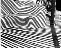 Stripes - Medium Format Photography - By Robert Thompson, Black  White Photography Artist