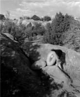 Serenity - Medium Format Photography - By Robert Thompson, Black  White Photography Artist