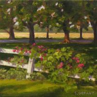 Rambling Rose - Oil On Canvas Paintings - By Susan Orfant, Contemporary Realism Painting Artist