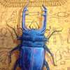 The Scarab - Oil On Canvas Paintings - By Rene Gonzalez, Oil On Canvas Painting Artist